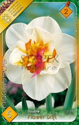 Narcis Flower Drift/5