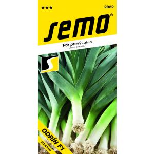 Pór Odrín zimný /Semo/