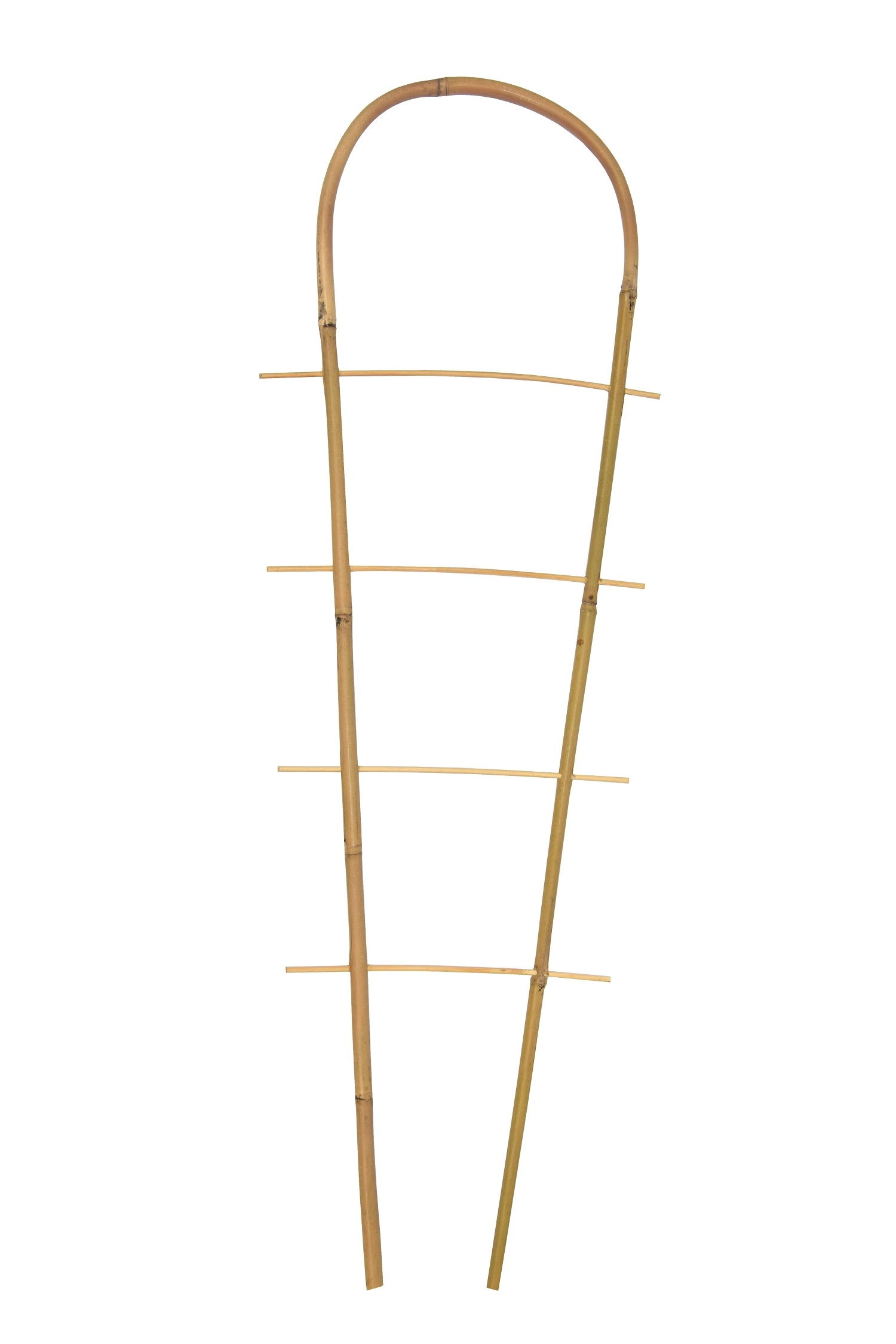Bambusový rebrík na rastliny 45cm,Planta