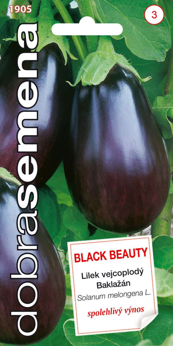 Baklažán Black Beauty čierny 25Ds