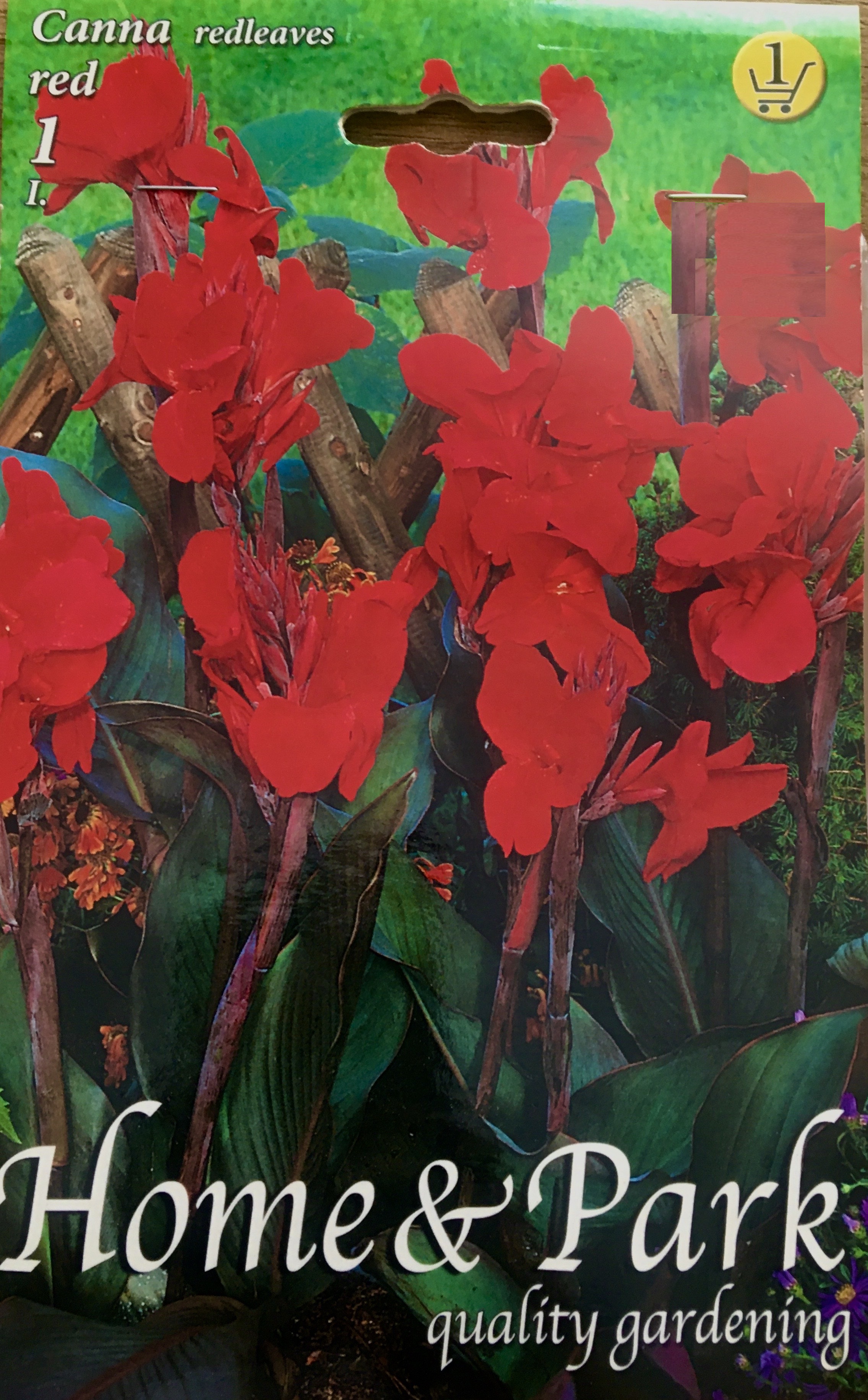 Canna red I.red/1